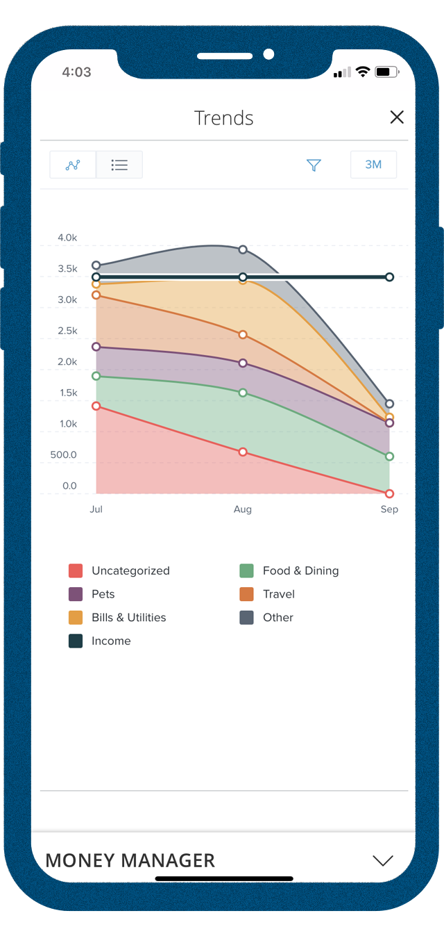 Money Manager - Categorize Spending